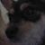 Ila Bates's profile image