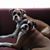 Debbie Ruckel's profile image