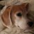 Sue Merritt's profile image