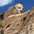David Daniels's profile image