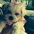 Romina Velez's profile image
