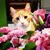 Marni Heydt's profile image