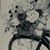 Shannon Doty Duncan's profile image