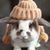 Suzanne Fiedler's profile image