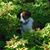 Shirley Adkison's profile image