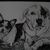 Terri Tice's profile image