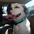 Brandy Monroe's profile image