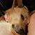Ellen Strahan's profile image