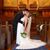 Cameron Bridgeman Richards's profile image