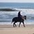 Colleen Morgan Murdock's profile image