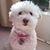 Cathy Olson's profile image