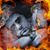 Chuck Cardinal's profile image