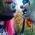 Izzy Nowak's profile image