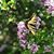 Steve N Debbie Clough's profile image