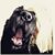 Marilia Perim's profile image