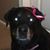 Sara Preten's profile image
