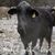 Annette Luna Duncan's profile image
