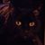 David Vareck's profile image