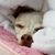 Tina George Rowe's profile image