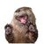 Steven Schulte's profile image
