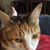 Patty Smith's profile image