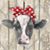 Robin Nall's profile image
