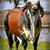 Conrado Enriquez's profile image