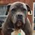 Kathy Brazile Welsh's profile image