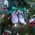 Lisa Burk Burns's profile image
