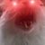Teresa Felton's profile image