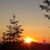 Roxanne Monge-Beveridge's profile image