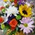 Linda Edwards Jackson's profile image