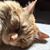 Christine Minakin's profile image