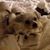 Marilyn Stonecipher's profile image