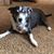 Tracy Provence's profile image