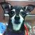 Roslyn Barr's profile image