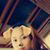 Ella Arlene's profile image
