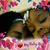 Sharon Murray's profile image