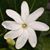Erna Faber's profile image