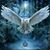 Terry Leicht's profile image