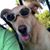 Jill Schleenbaker Dunnan's profile image