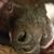 Colleen Milner's profile image