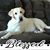 Lori Leigh Smith's profile image