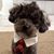 Annie Schenck's profile image