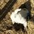 Lynn Bonham's profile image