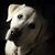 Bree Wilber's profile image