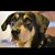 Calla Meinen's profile image