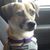 Mary Baum's profile image