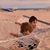 Kerri Luetti's profile image