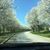 Melinda Webb Schoenfeldt's profile image